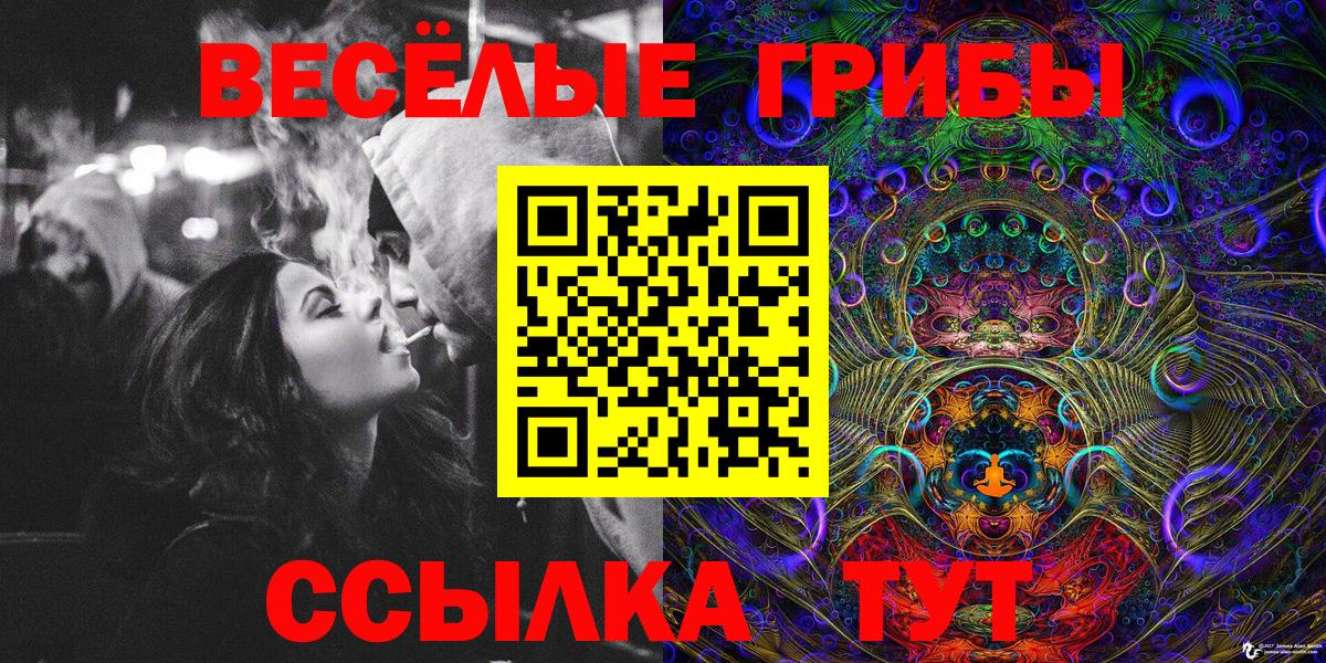Советская Гавань  Галлюциногенные грибы прущие грибы  Вход с VPN 