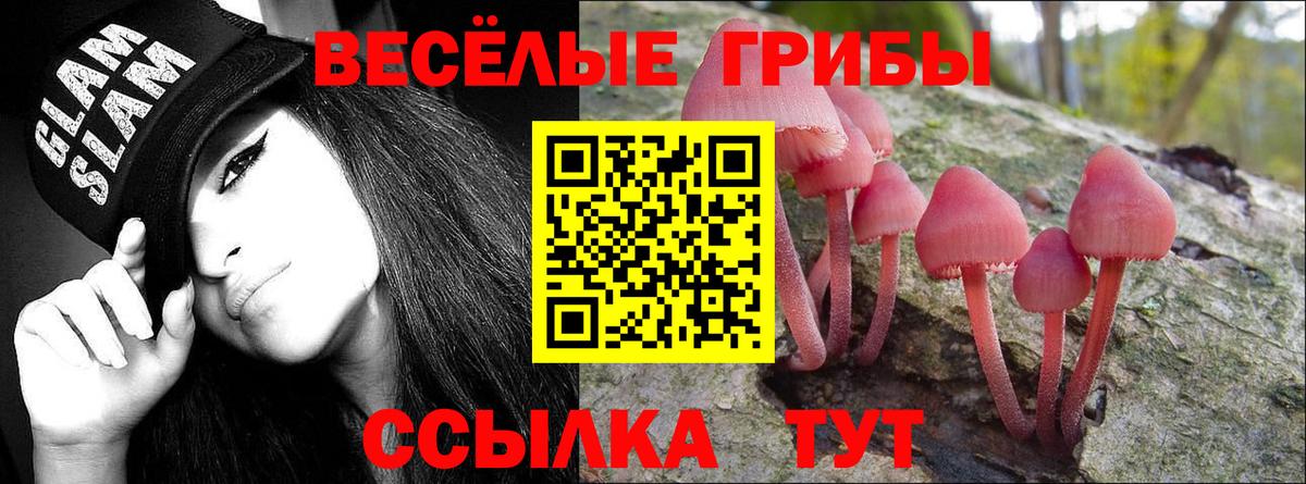 Галлюциногенные грибы мухоморы Советская Гавань